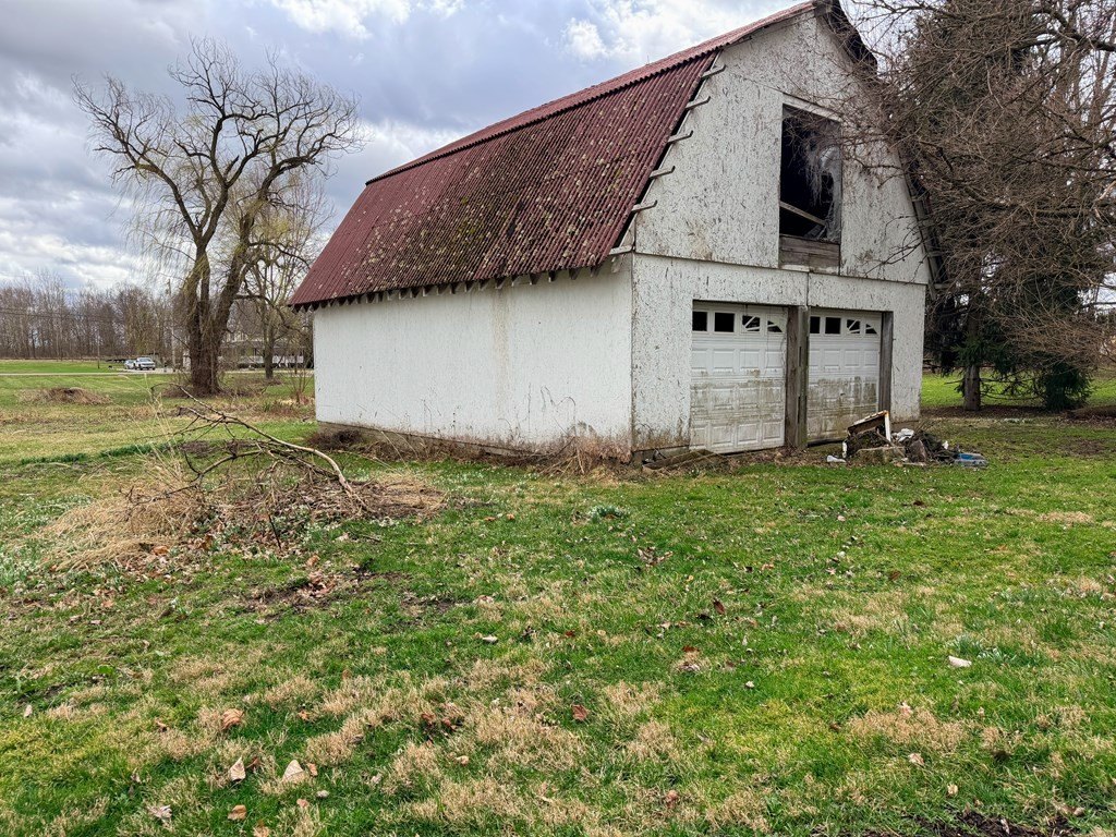 Picture 6