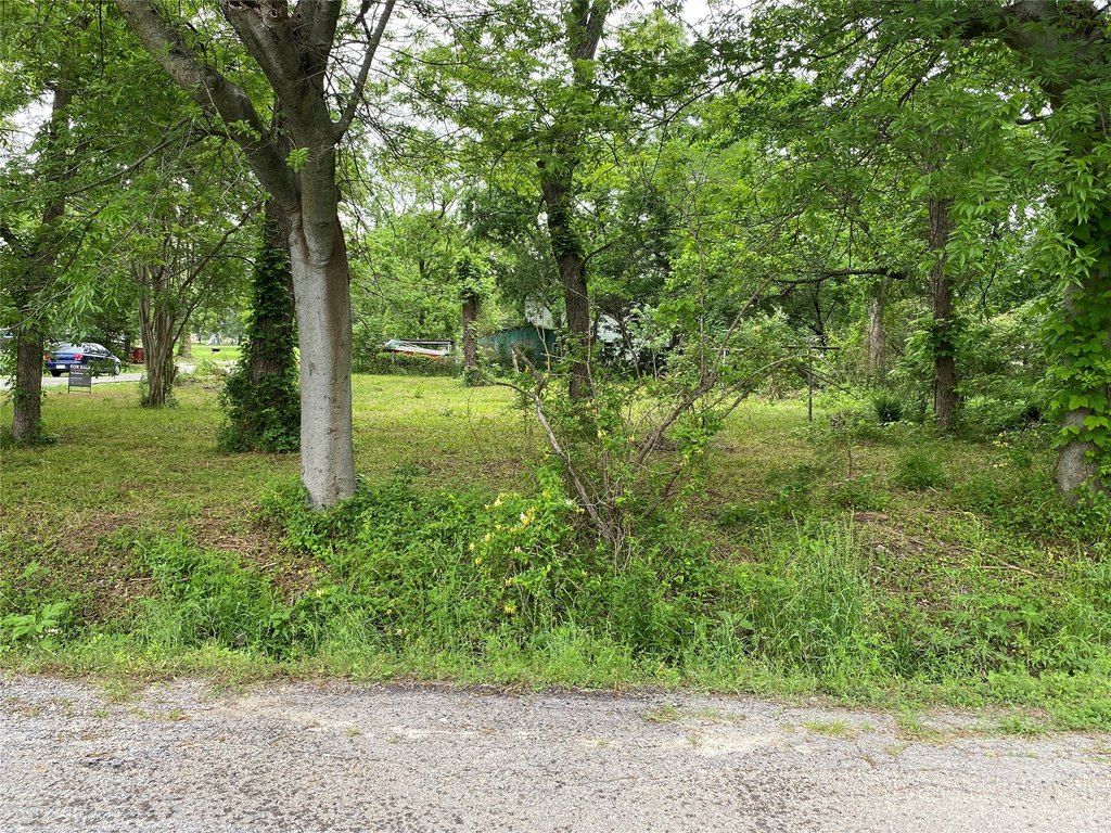 Picture 5