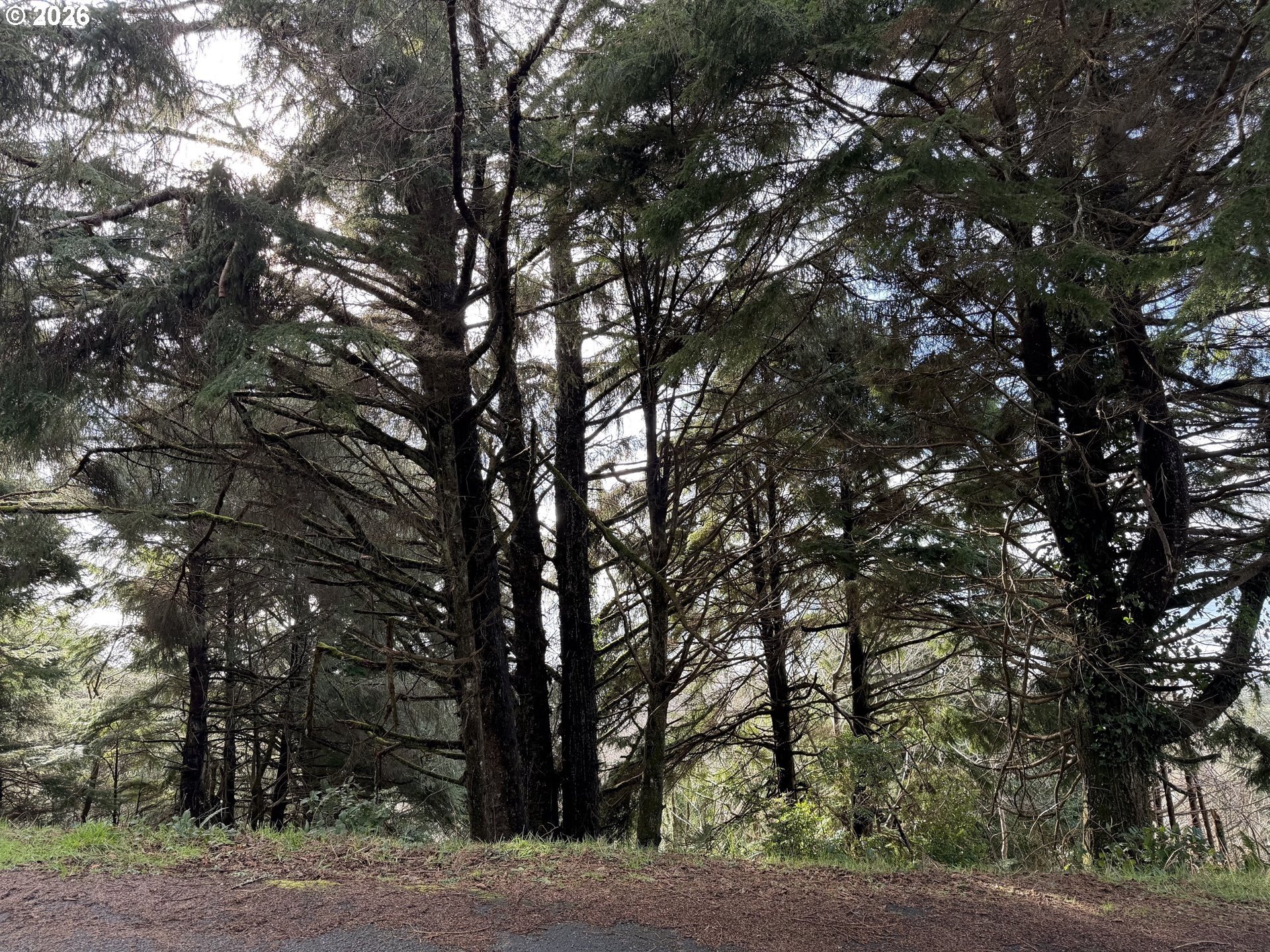 Ocean View Residential Lot