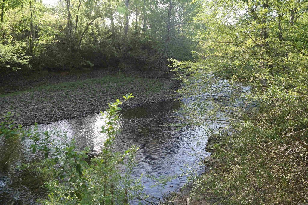Picture 7
