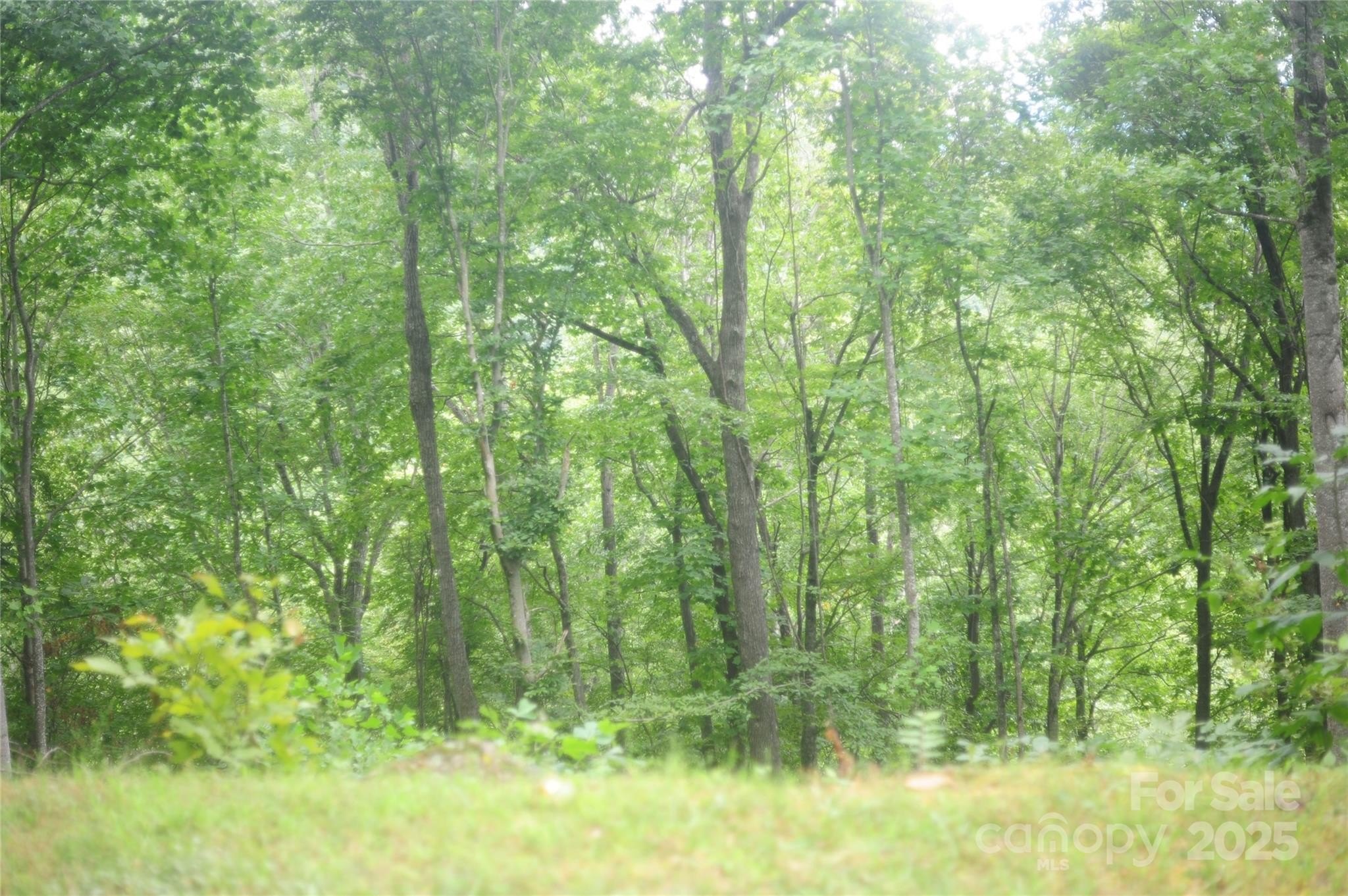 Black Mountain Land For Sale