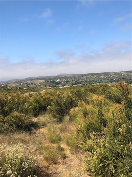 LAND - Hemet, CA