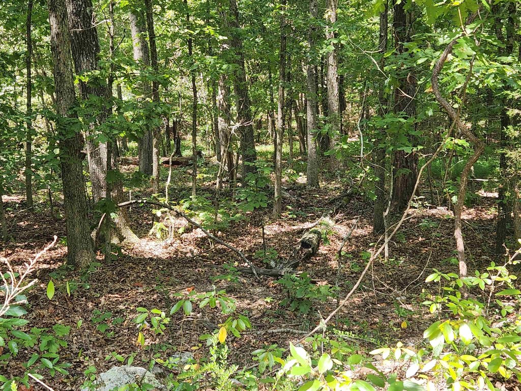 Picture 16