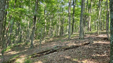 Land, Six Mile Run, PA