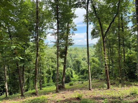 LAND - Murphy, NC