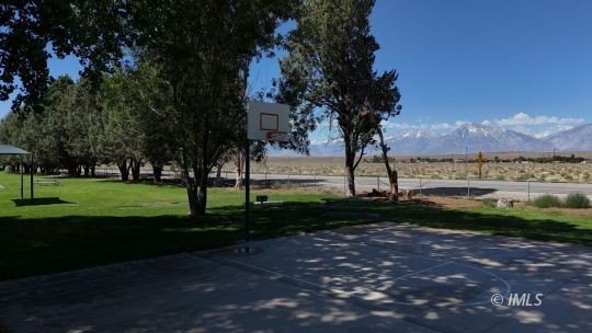 Picture 21