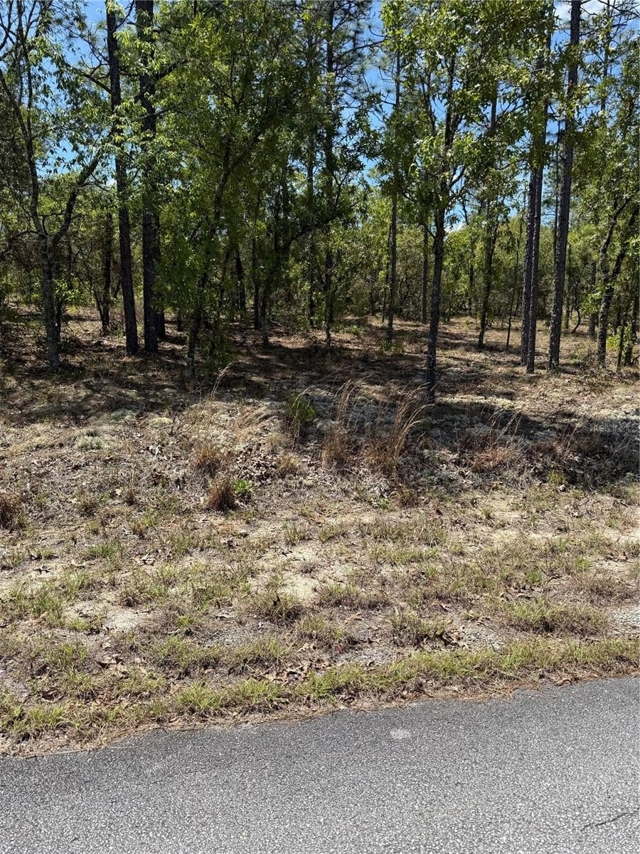 Land Near Rainbow River Springs