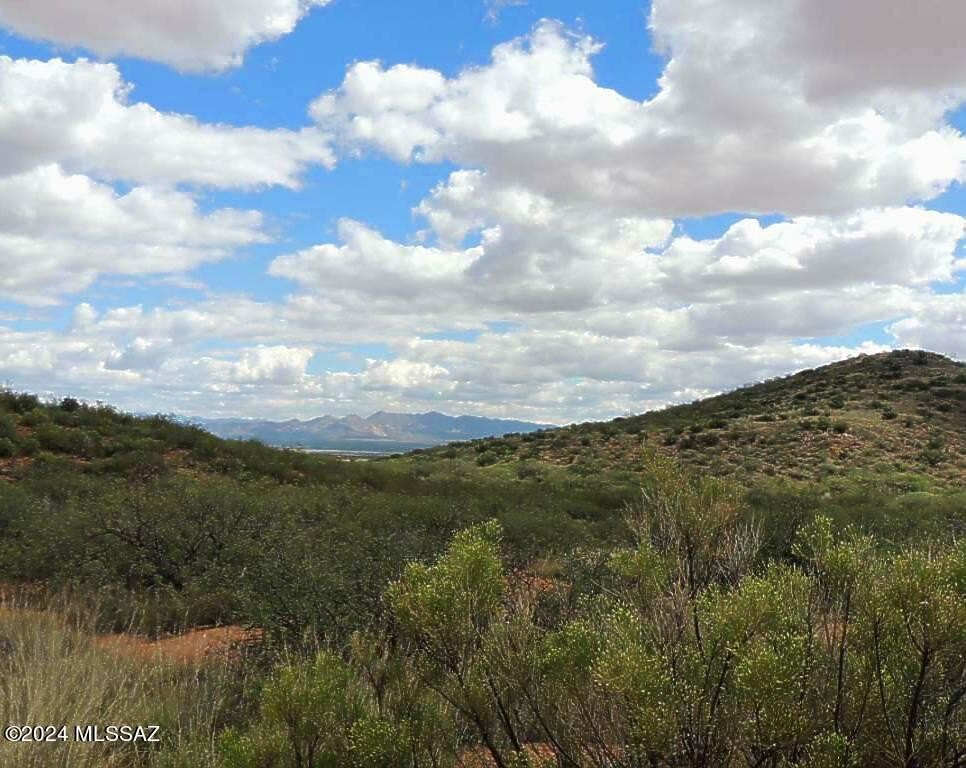 38.6 Acres in Elfrida, AZ