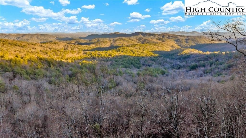 Unrestricted Land Near Blue Ridge Parkway