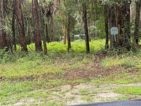 Land, Inglis, FL