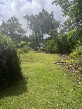 LAND - Keaau, HI