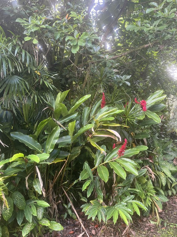 Picture 8