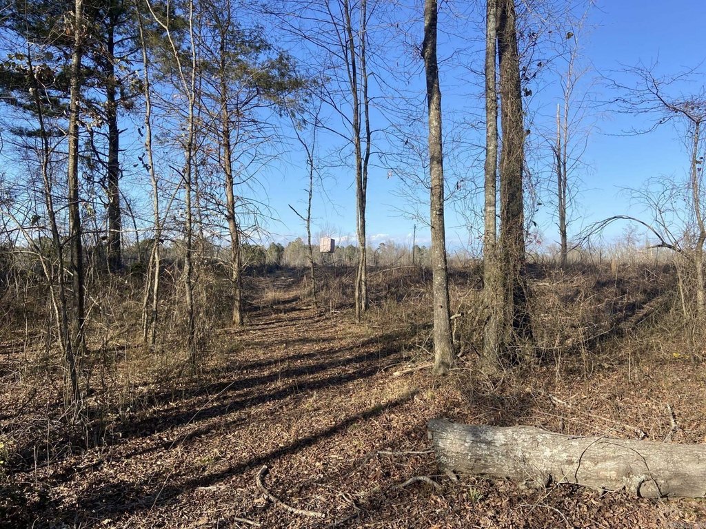 Picture 3