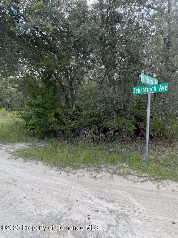 Picture 12