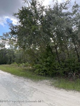 Land, Weeki Wachee, FL