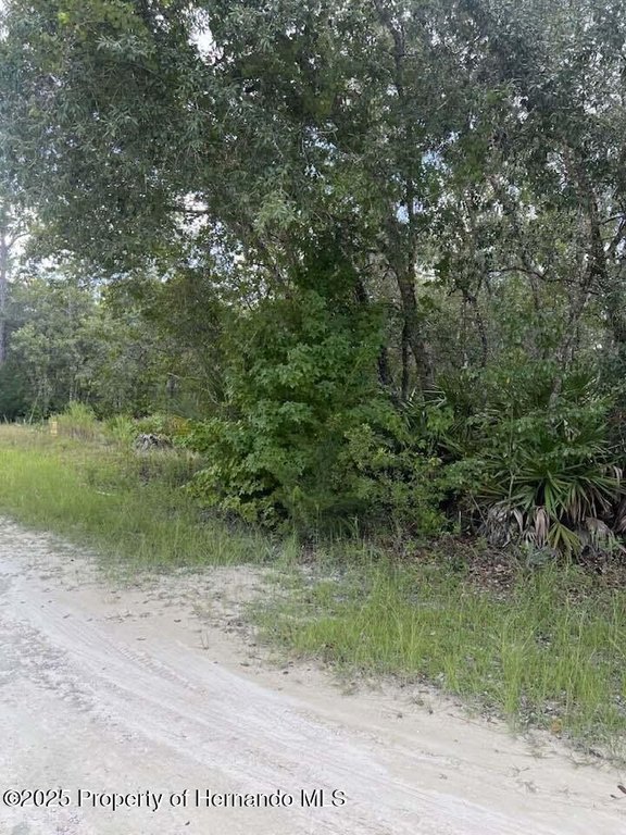 Picture 5