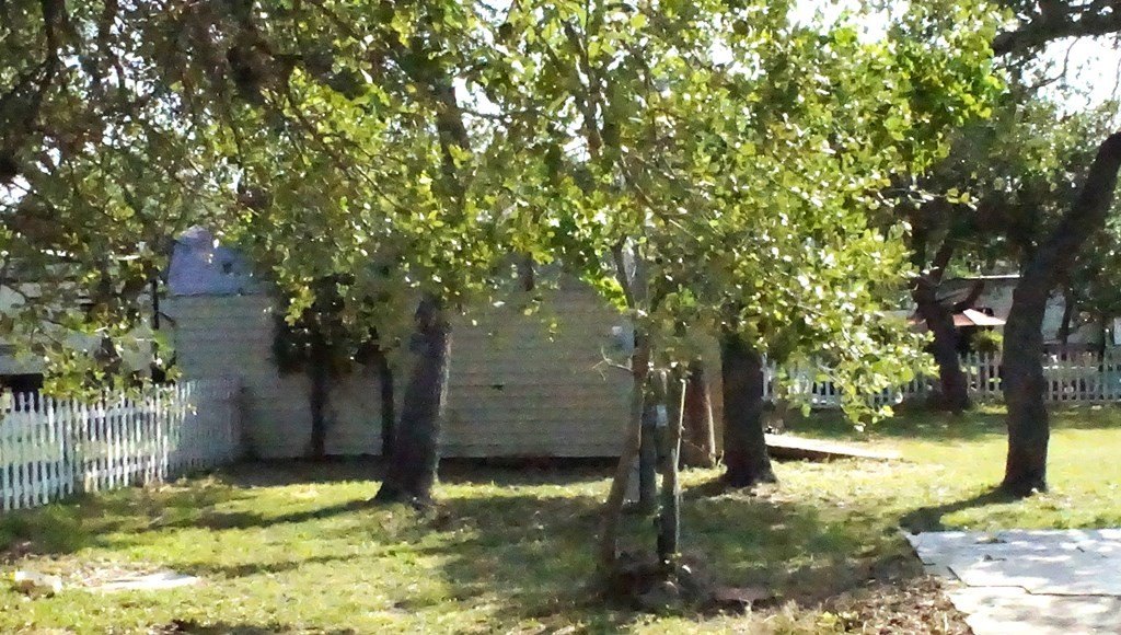 Picture 16