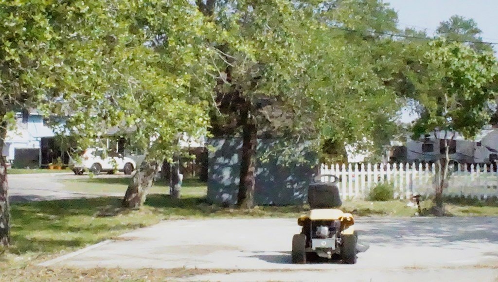 Picture 18