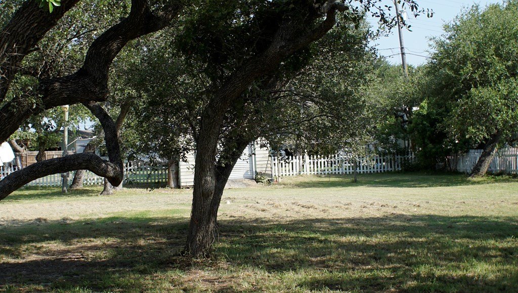Picture 12