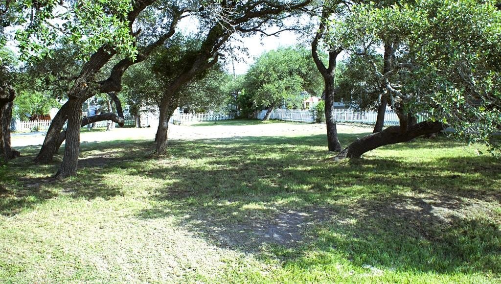 Picture 11