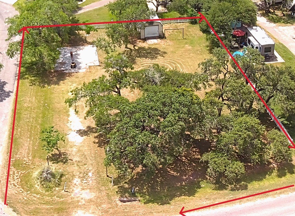 Picture 5