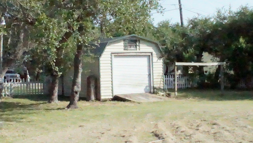 Picture 15