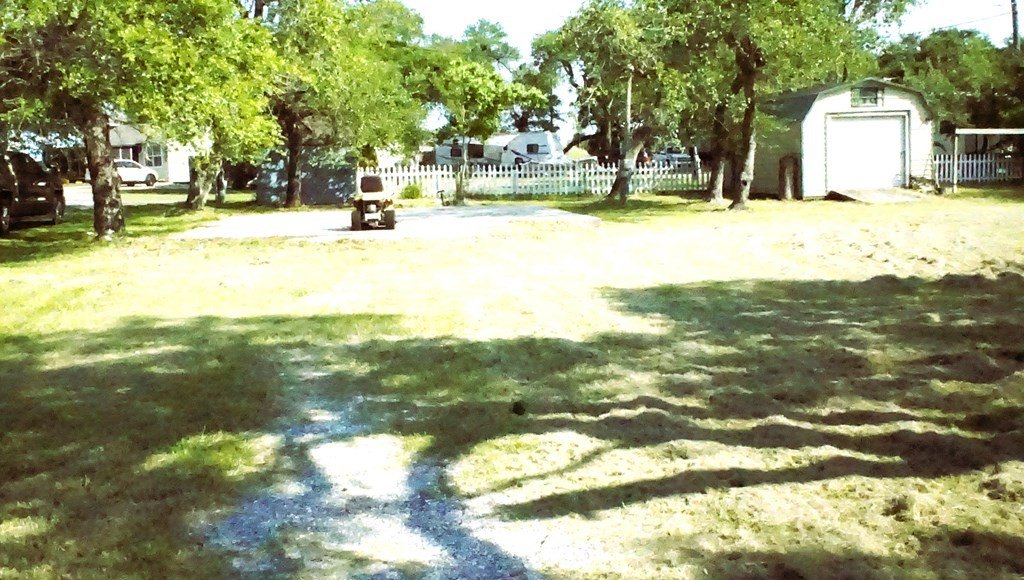 Picture 14