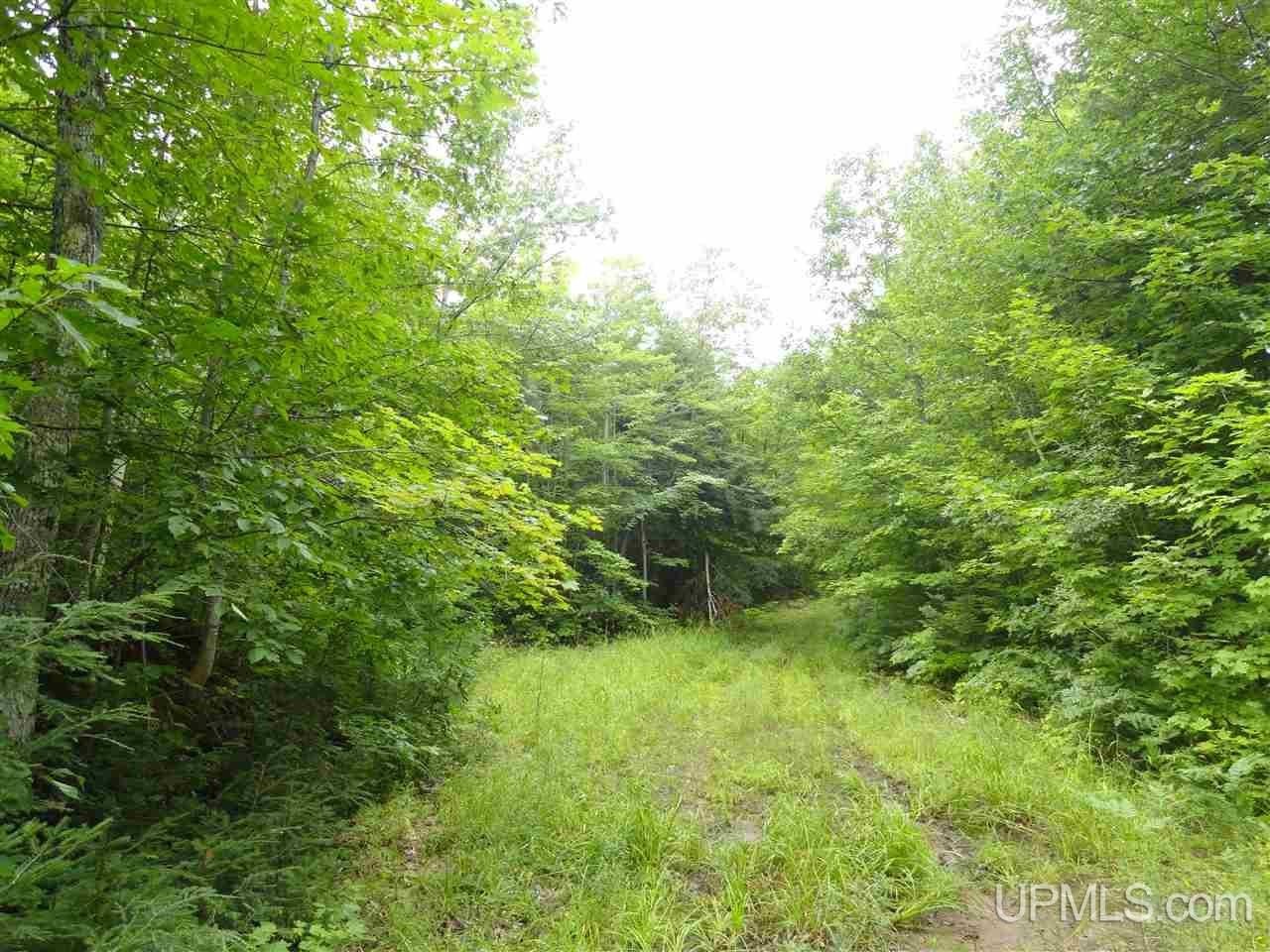 320 Acres of Marquette Timberland
