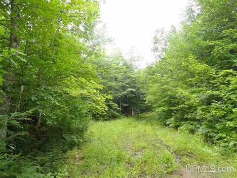320 Acres of Marquette Timberland