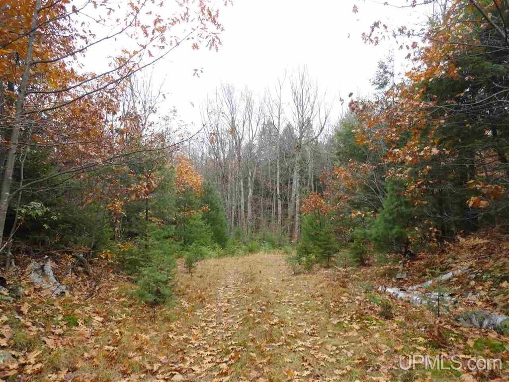 Picture 21