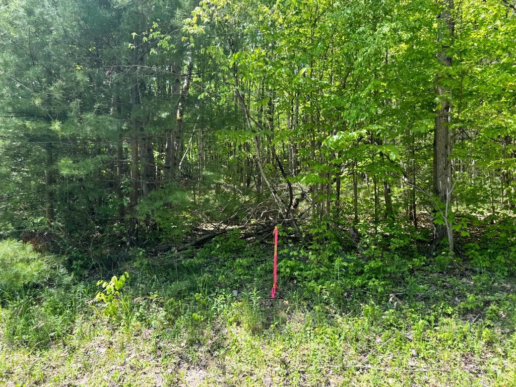 Picture 12