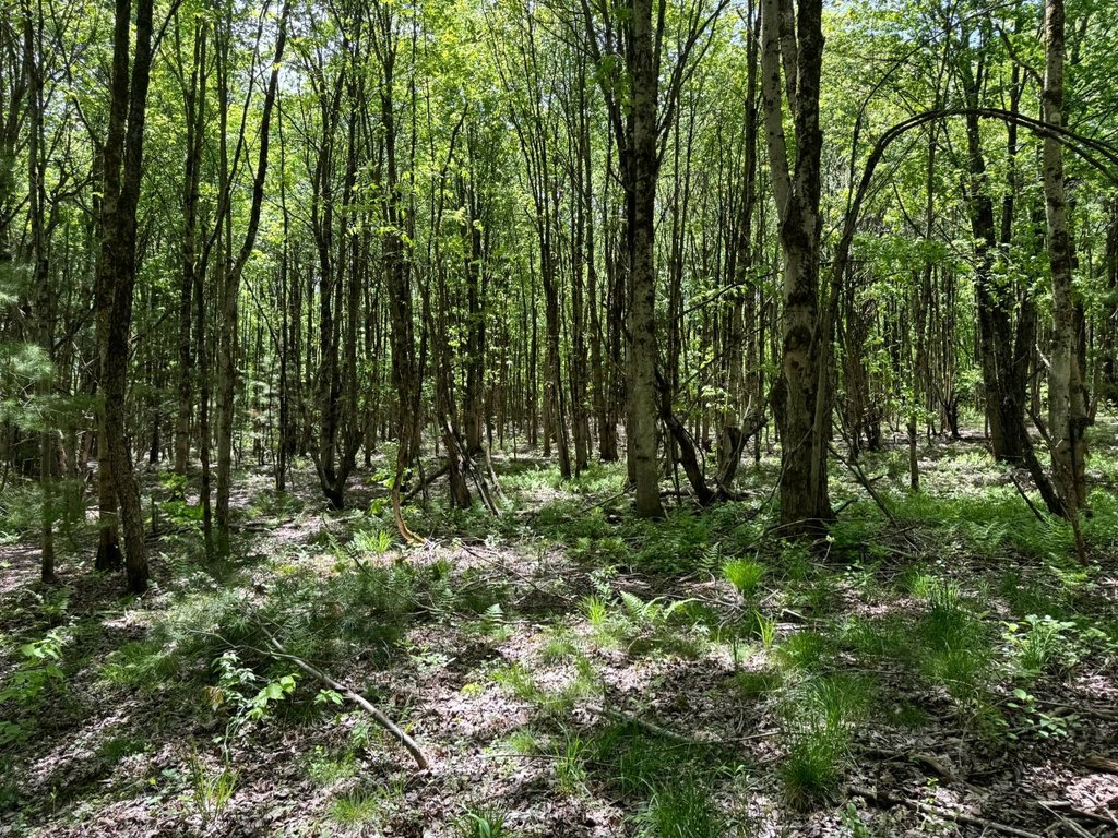Picture 16