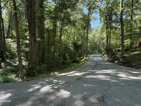 Land, Gatlinburg, TN