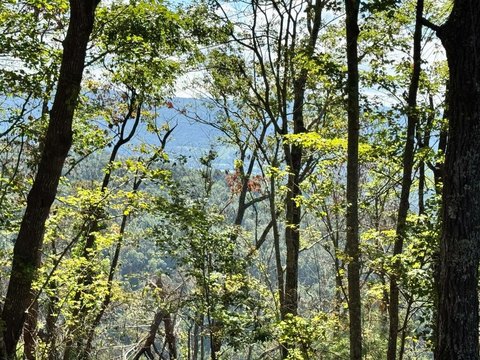 Land, Crossville, TN