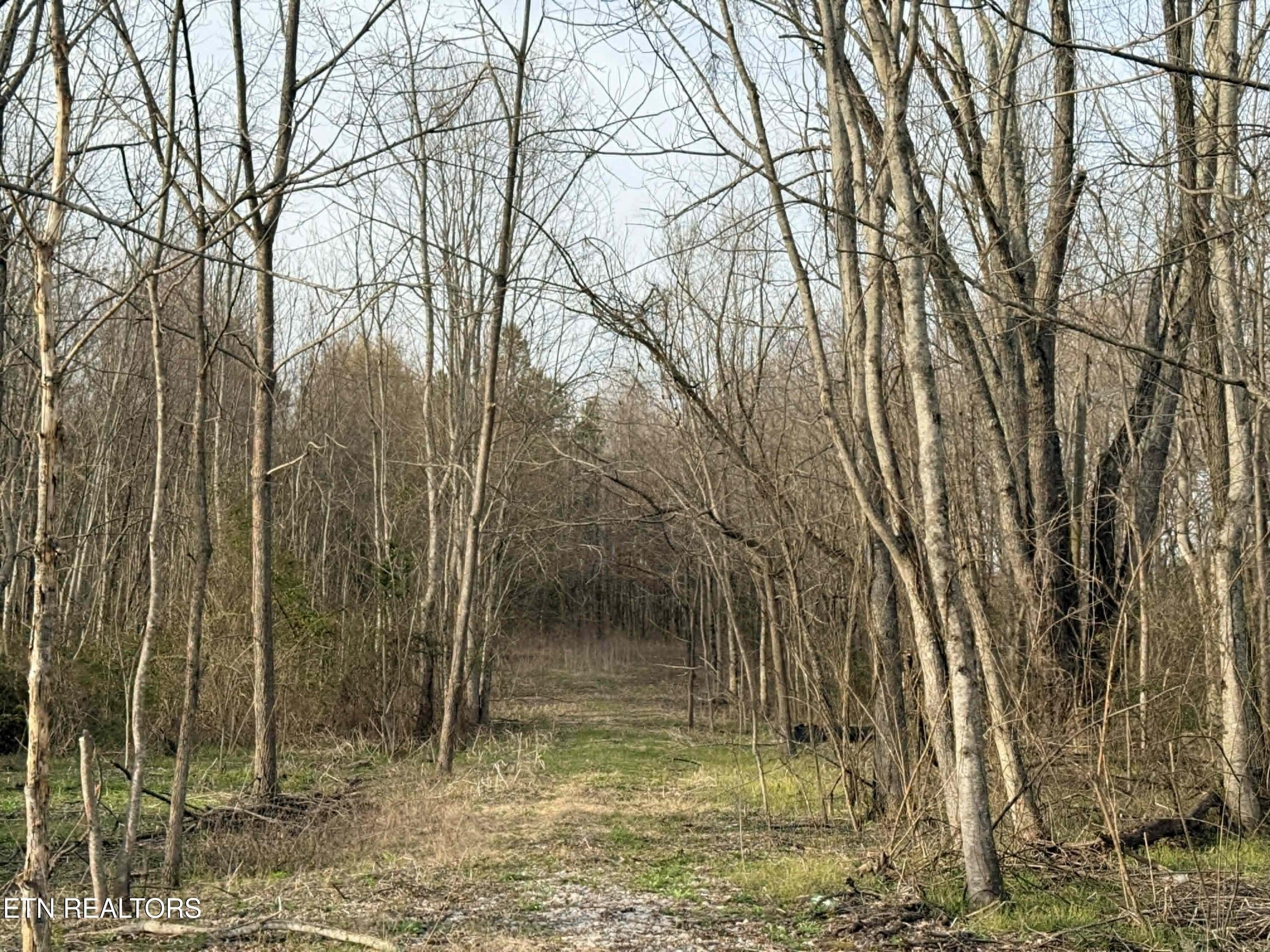 Land in Jamestown, Tennessee