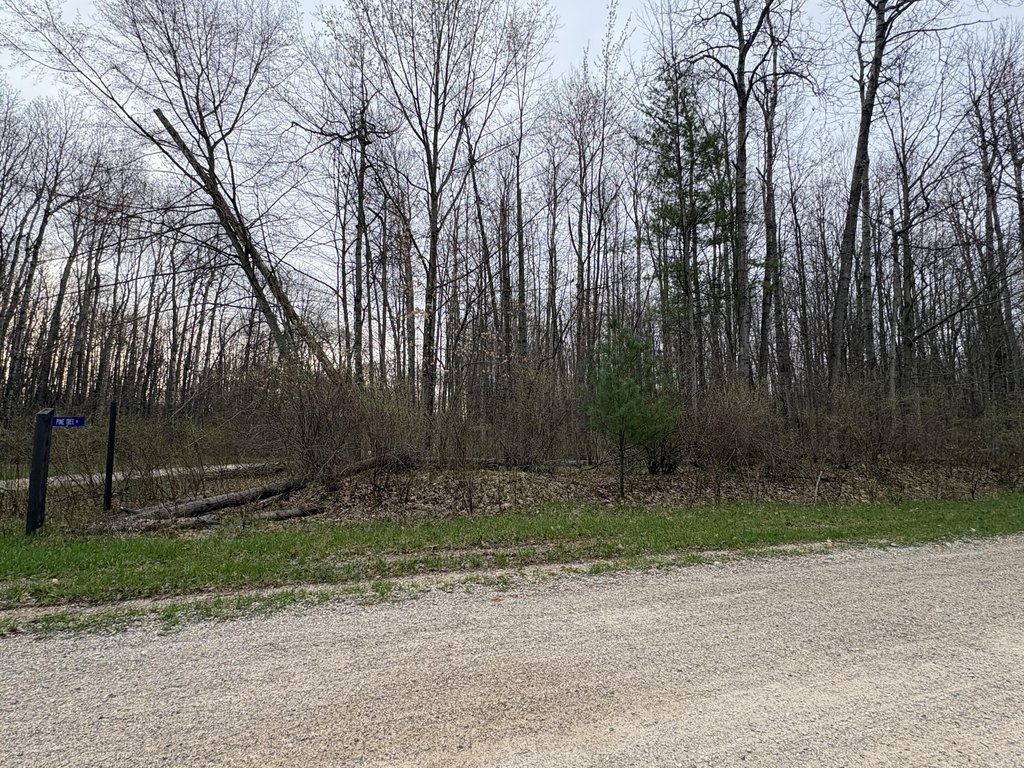 Picture 3