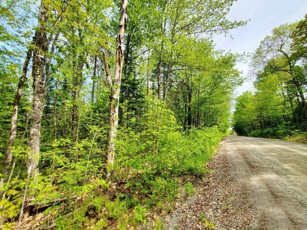 Picture 20