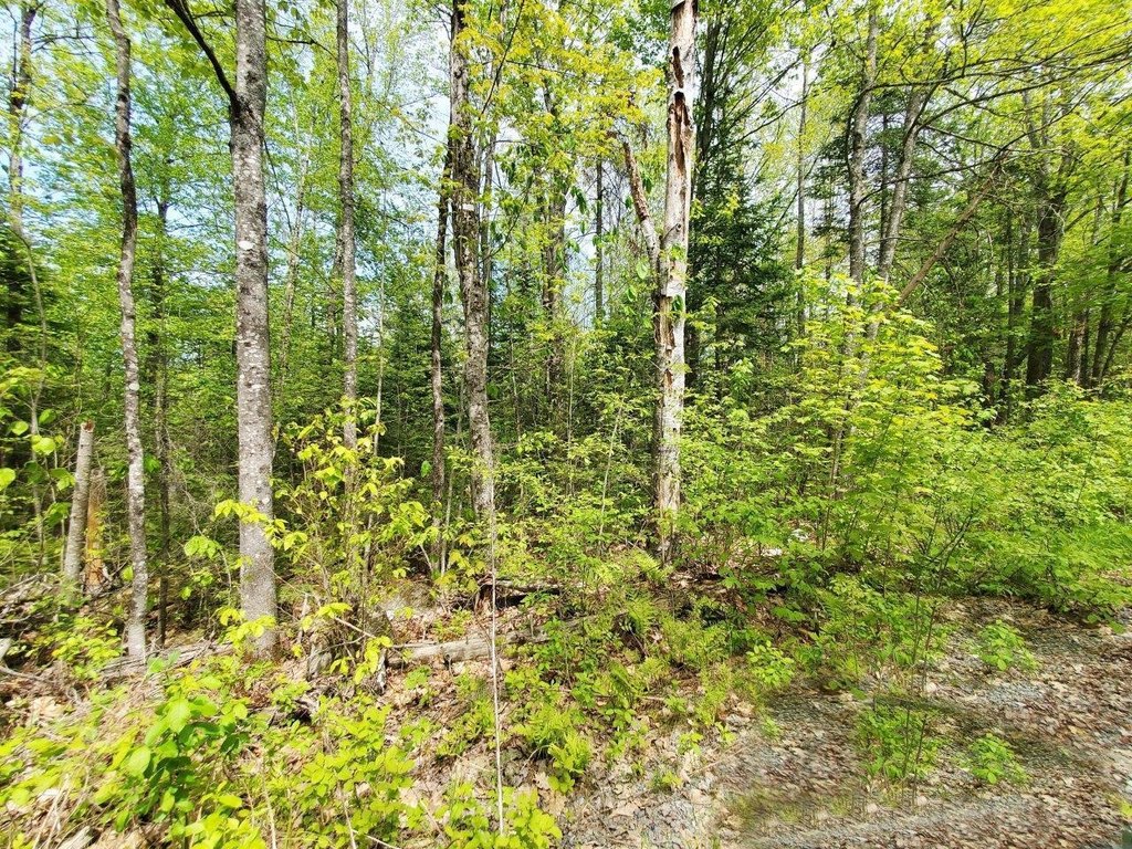 Picture 23