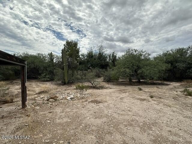 Picture 5