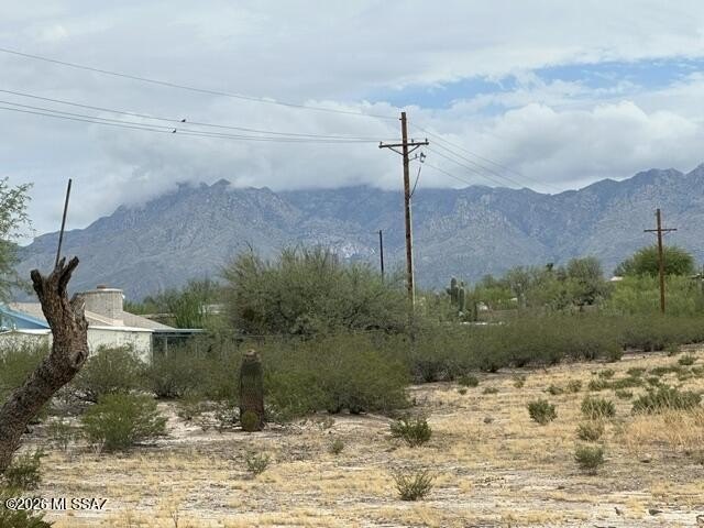 Picture 4