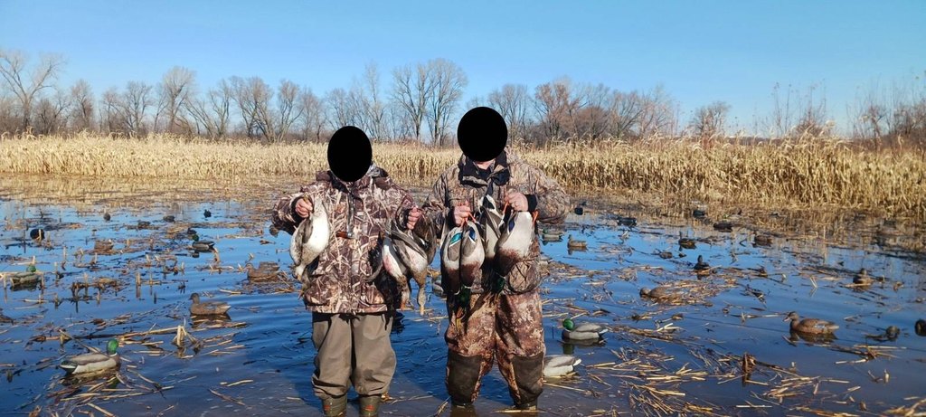 Picture 6