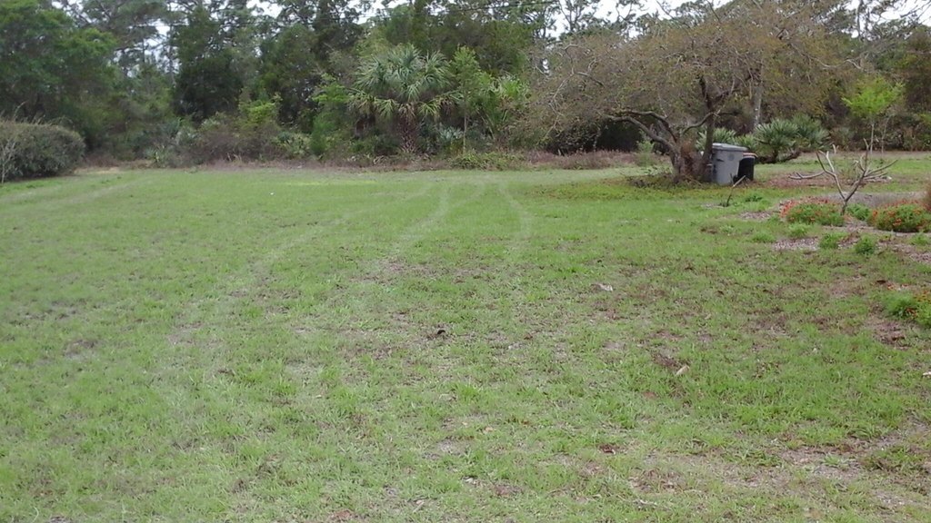 Picture 3