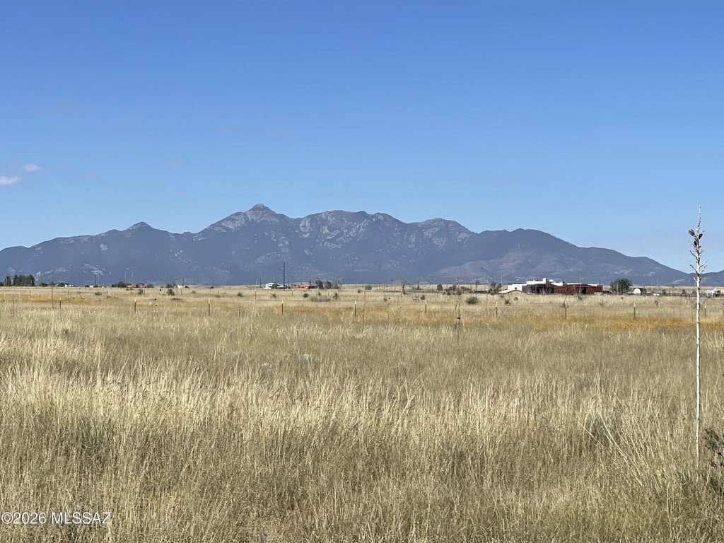 Picture 20