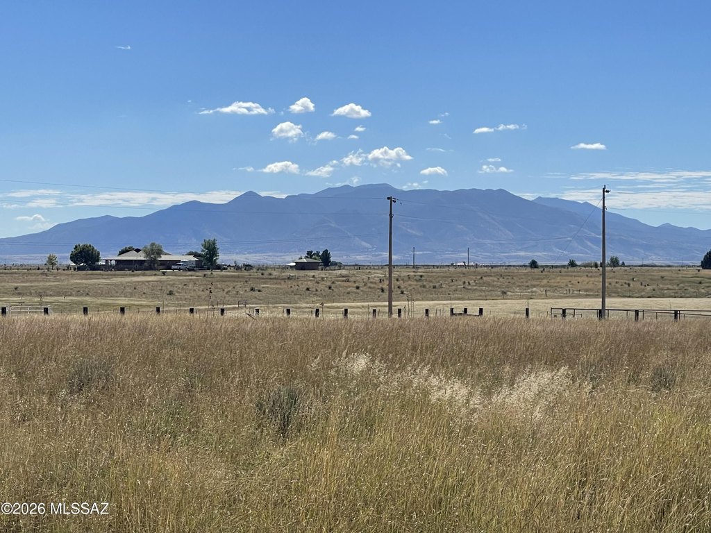 Picture 21