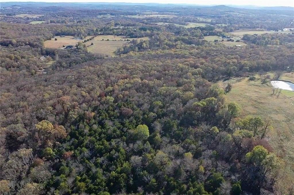 Ozark Land in Jasper, AR