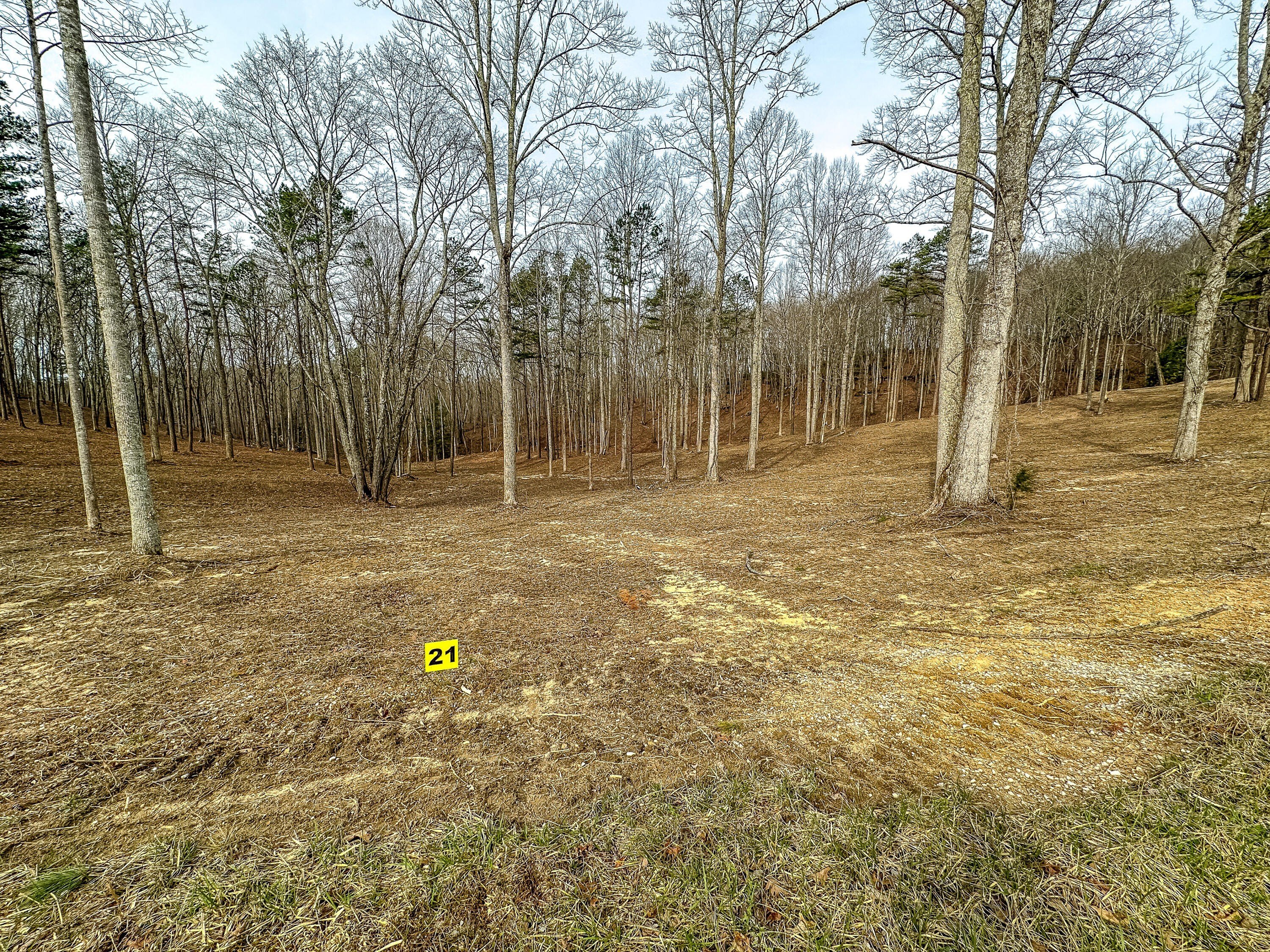 East Bernstadt Land For Sale