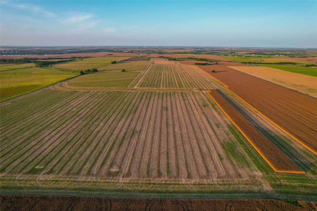 Picture 16
