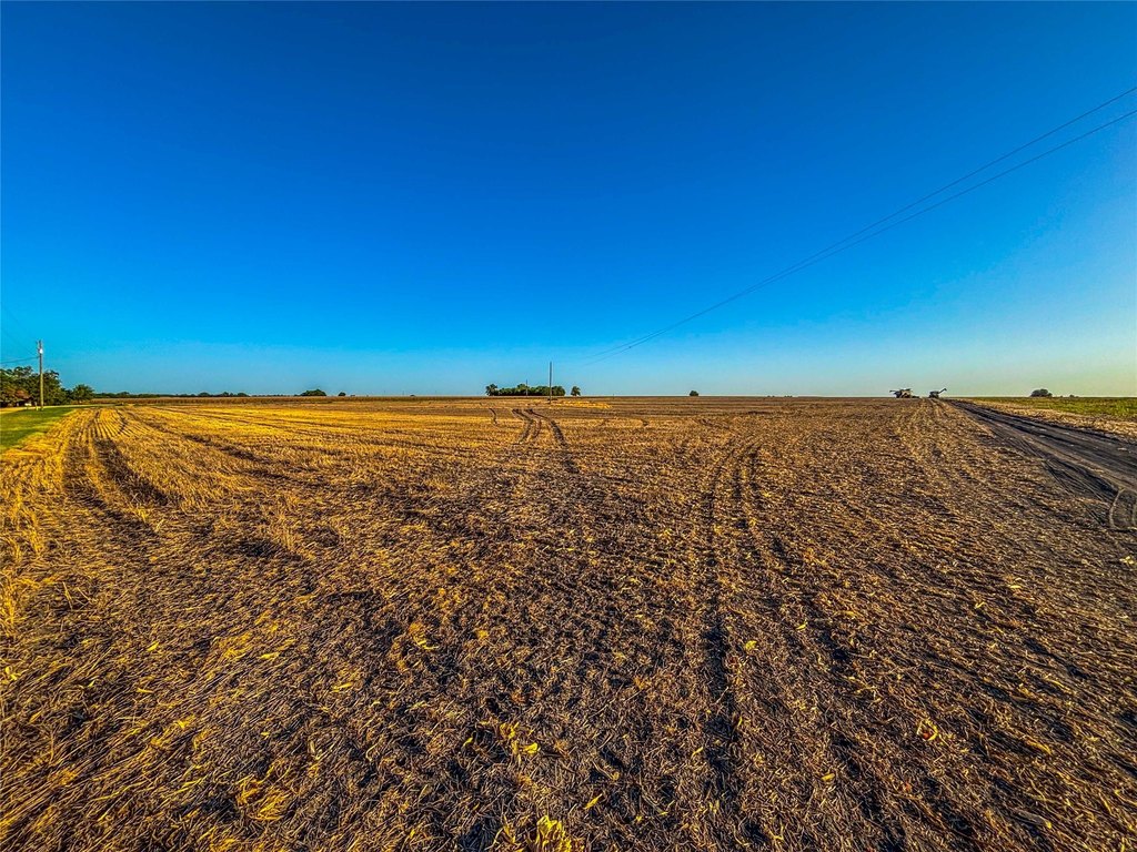 Picture 27