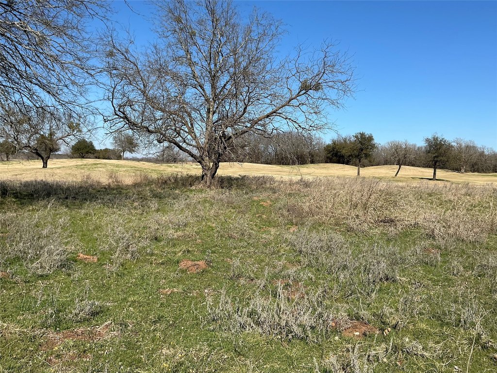 Picture 16