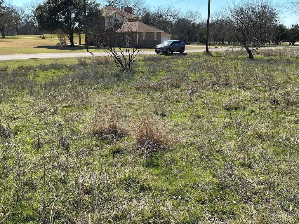 Picture 6